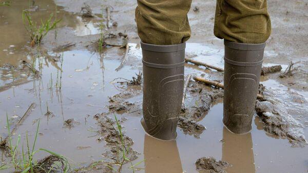 'Certainty' for farmers as commission outlines support for when extreme weather events strike