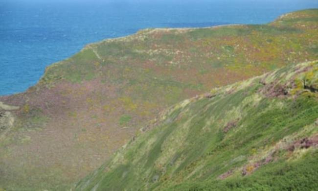 Cliff-land above Bude Bay.