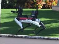 A robotic dog seen patrolling Trump's Mar-a-Lago residence in Palm Beach, Florida. (Photo: X)