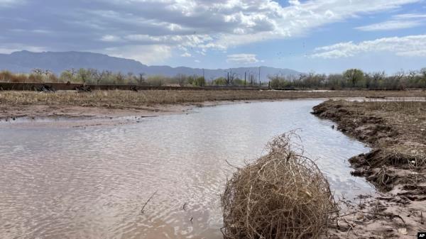 FILE - This April 10, 2022, image shows the Rio Grande in Albuquerque, New Mexico. Mexico and the U.S. said they have reached an agreement they hope will help Mexico be timelier with its water-sharing payments in the Rio Bravo watershed, also known as the Rio Grande. 